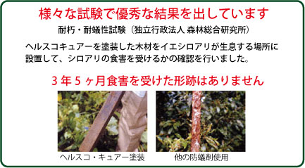 loh_cure_shiken
